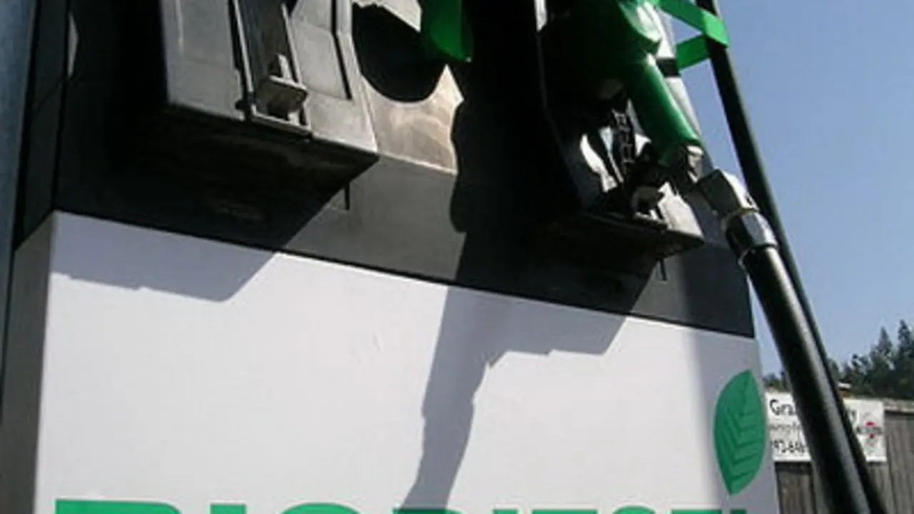 Biodiesel Sawit Indonesia: Antara Ambisi Energi dan Tantangan Lingkungan