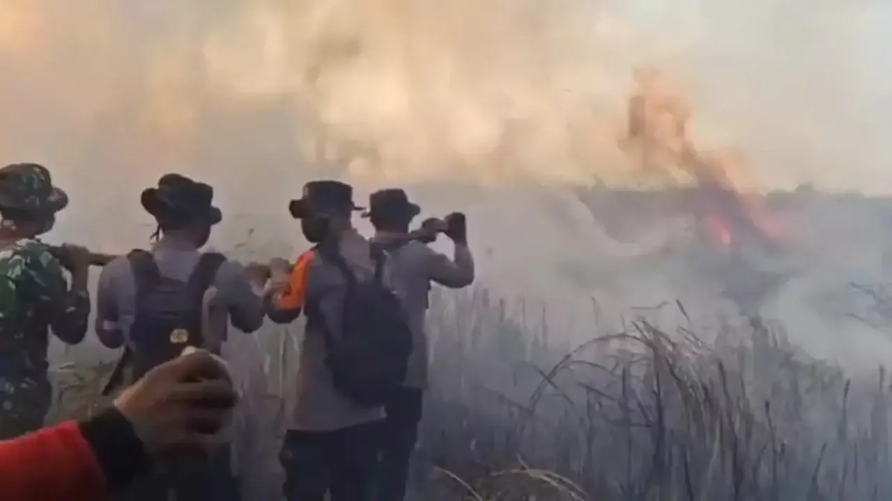 Karhutla Way Kambas Meluas, Api Dekati Pusat Pelatihan Gajah