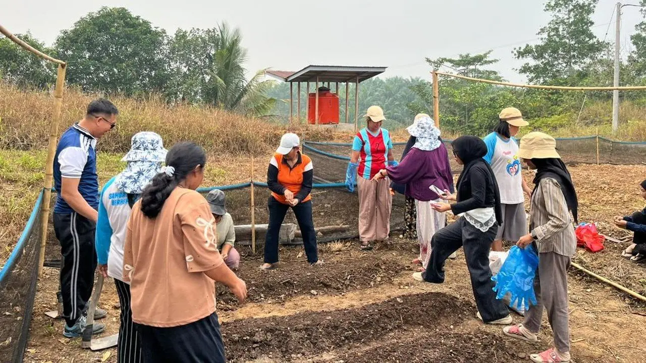 Kemandirian Pangan di Sambas: Lahan Tandus Disulap Jadi Kebun Sayur Berkat TEP UI