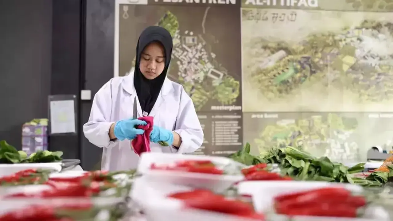 Koperasi Al-Ittifaq: Ekosistem Pertanian Terpadu Dorong Petani Tembus Pasar Ritel Modern