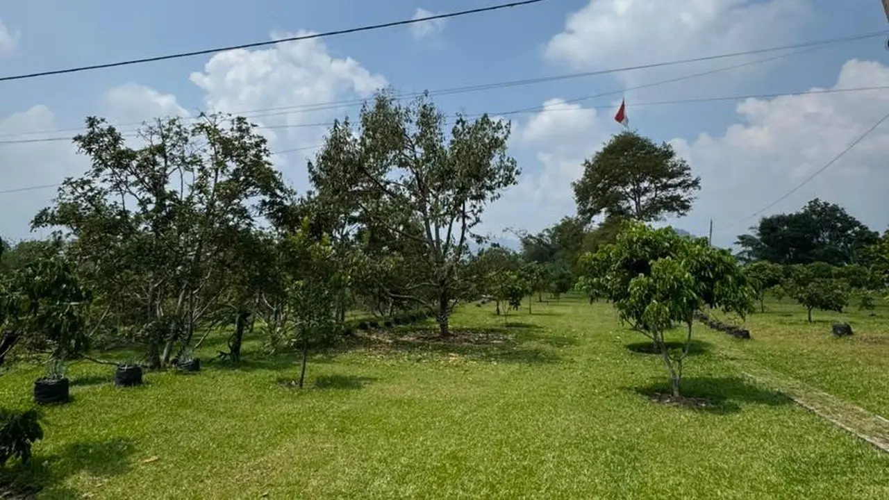 KPK Telusuri Aset Glamping Durian Terkait Kasus Suap Bupati Bekasi