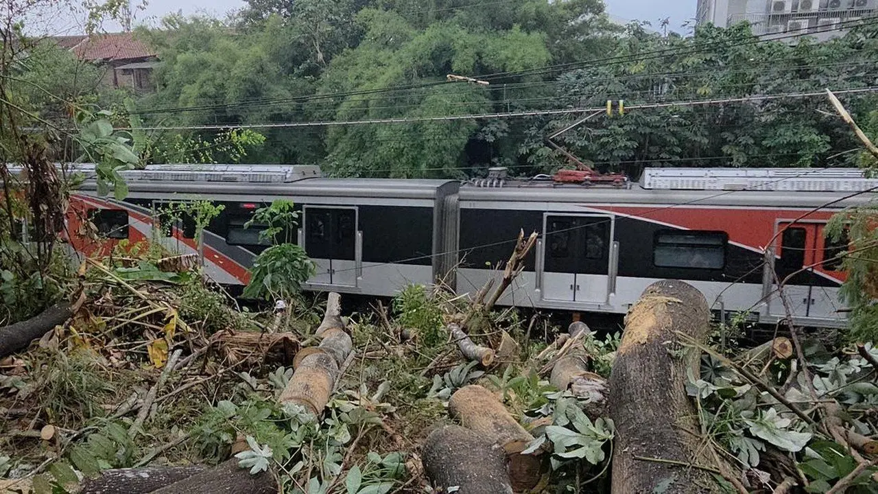 Pohon Tumbang Antara UI dan Pasar Minggu Berhasil Dievakuasi, KRL Kembali Beroperasi Normal