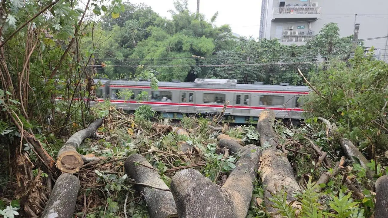 Pohon Tumbang Ganggu Perjalanan KRL Jakarta-Bogor, Penumpang Terjebak Lama