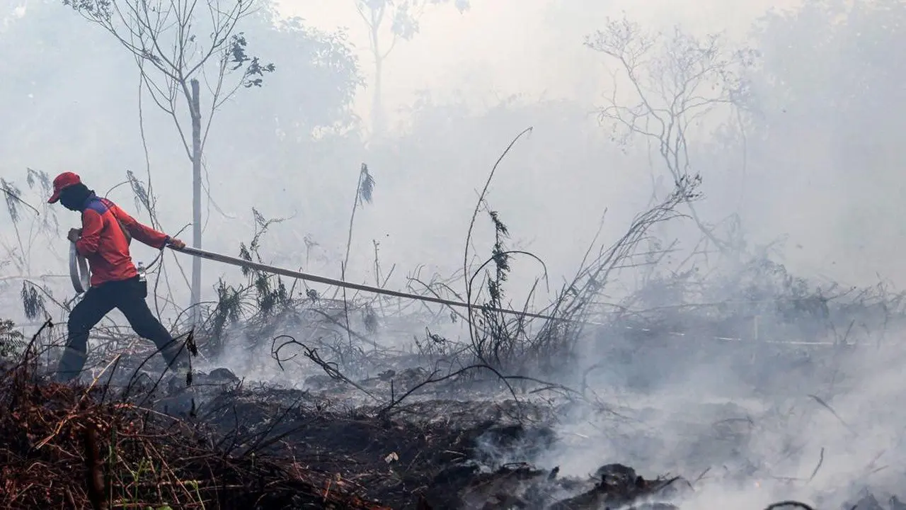 Polri Ungkap 196 Tersangka Kasus Karhutla di 12 Provinsi