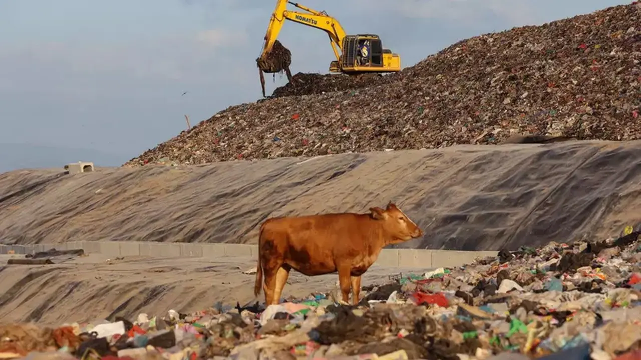 Reformasi Hulu Pengelolaan Sampah Jadi Kunci Investasi Waste to Energy di Indonesia