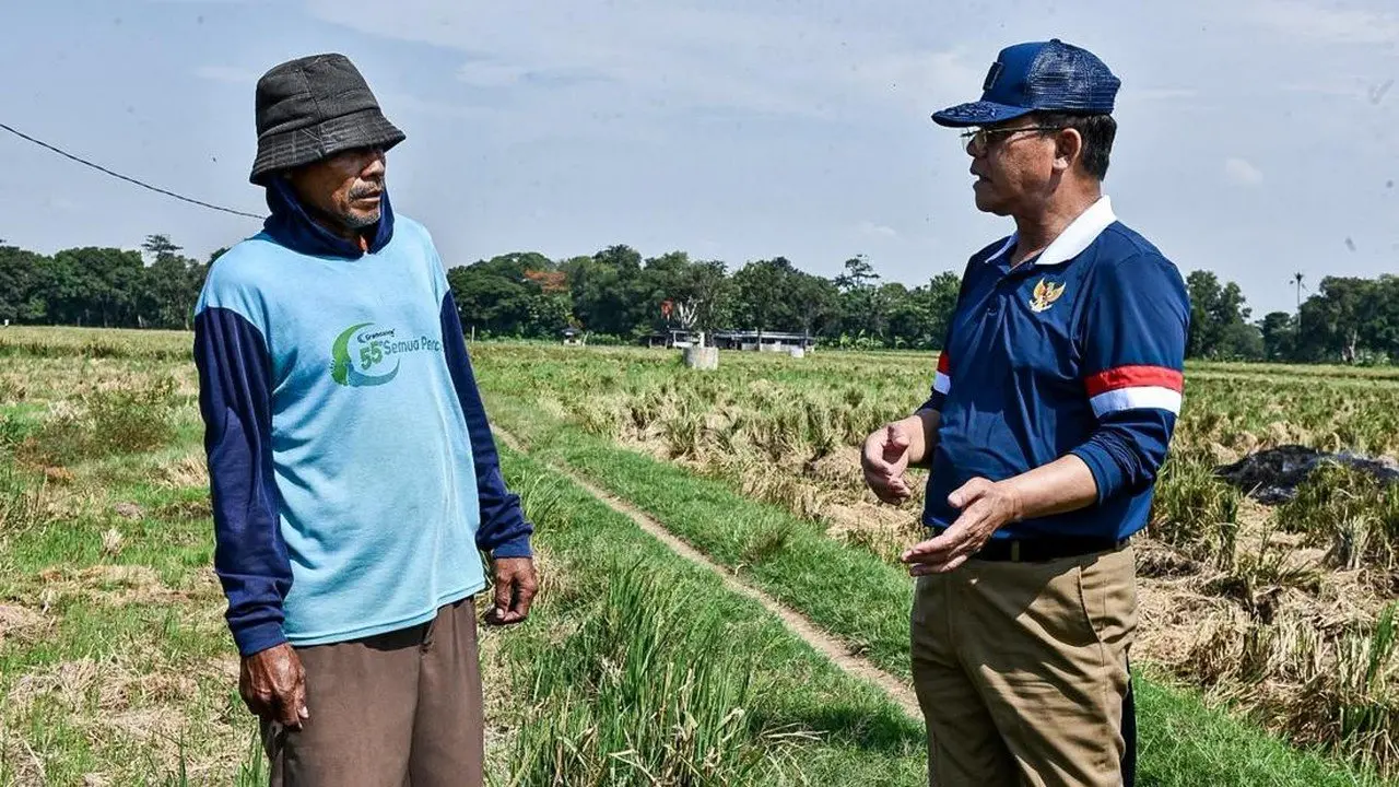 Utusan Khusus Presiden Puji Peran Vital Petani dalam Ketahanan Pangan Nasional
