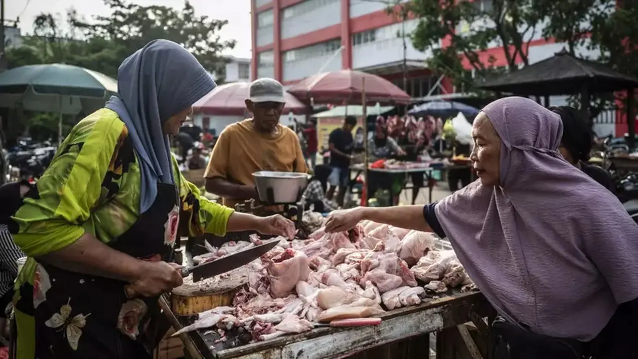 Atasi Harga Ayam Bergejolak, Bapanas Subsidi Biaya Angkut
