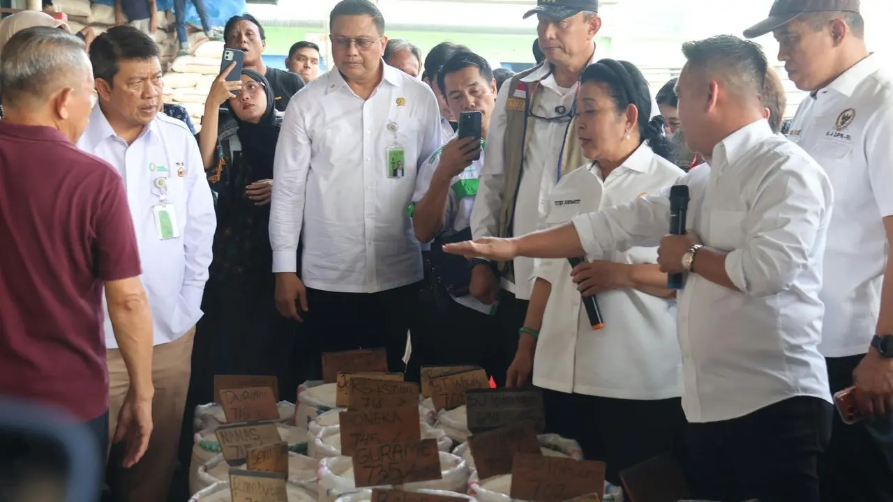 BULOG dan DPR Pastikan Stok Beras Nasional Melimpah Jelang Akhir Tahun