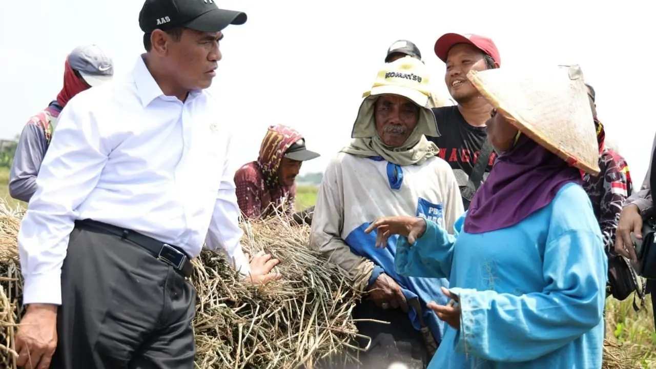 NTP September 2026 Tembus Rekor 131,11, Petani Nikmati Kenaikan Pendapatan