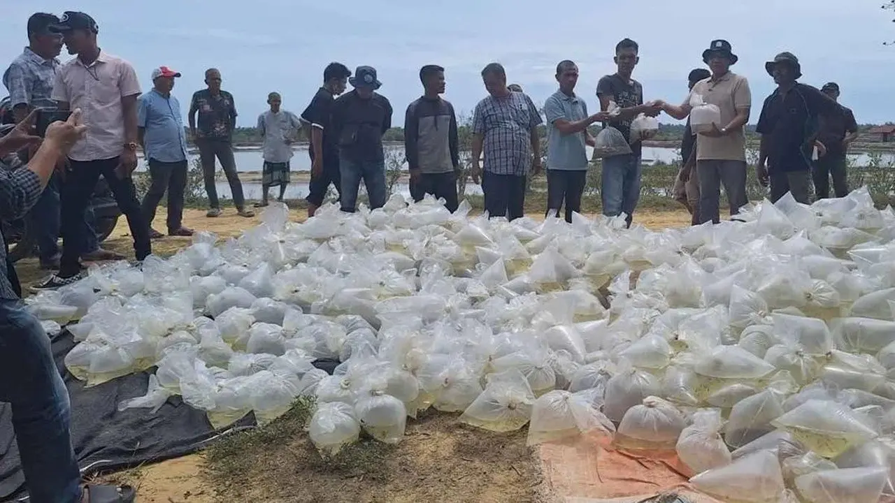 Pemulihan Tambak Pascabencana Capai 1.835 Hektare di Tiga Provinsi