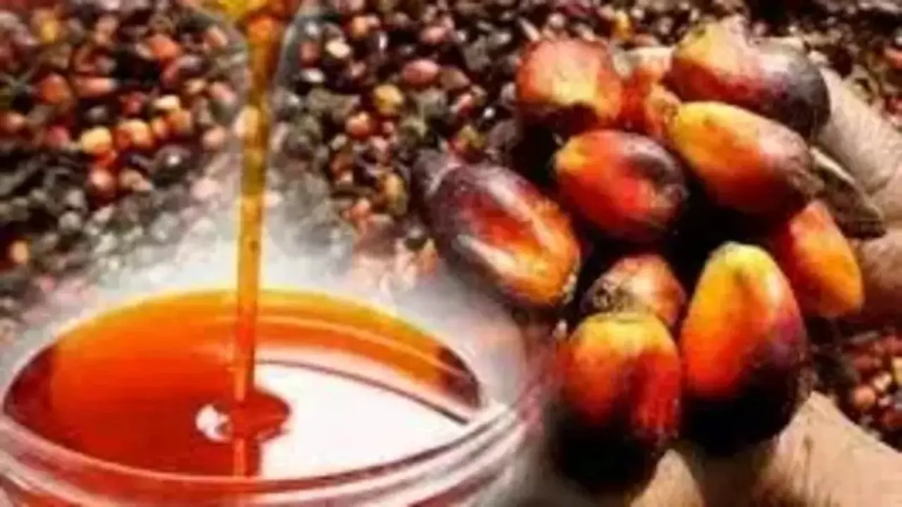 Sentimen Negatif Ganda Tekan Harga CPO ke Titik Terendah