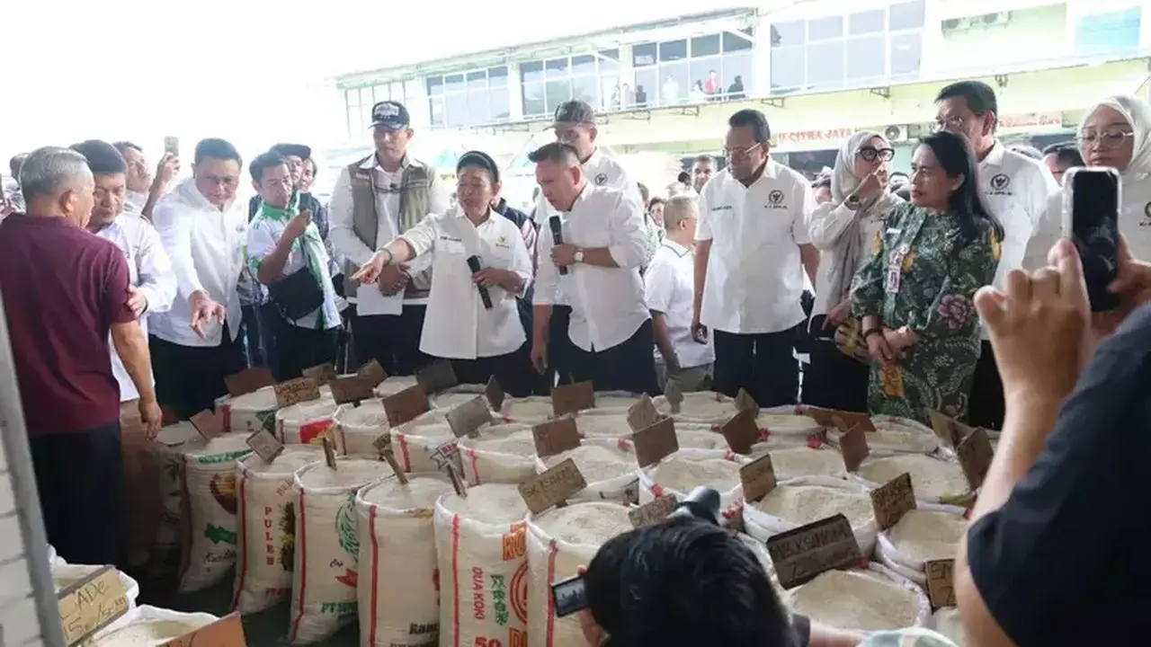 Stok Beras Nasional Dipastikan Aman, DPR Pantau Langsung Ketersediaan di Pasar